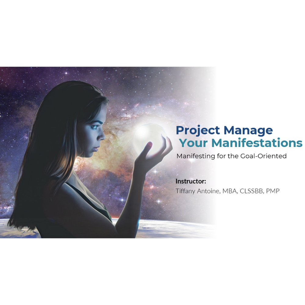 Project Manage Your Manifestations
