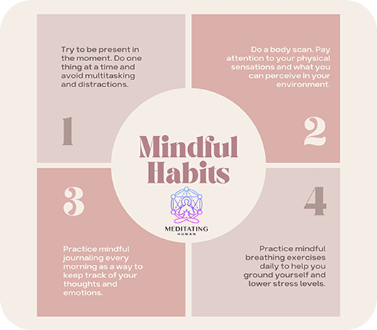 Mindful Habits Infographic