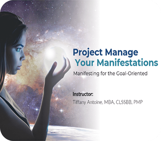 Project Manage Your Manifestations