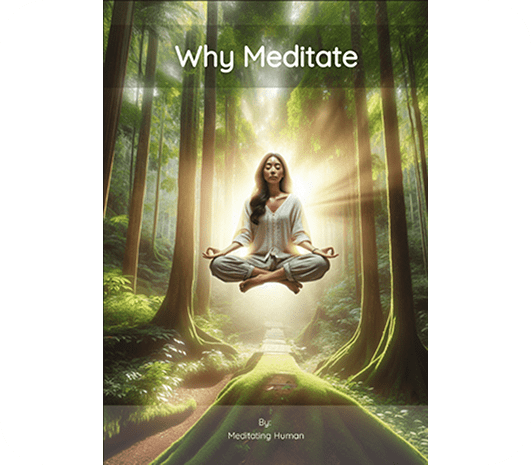 Why Meditate (e-book)